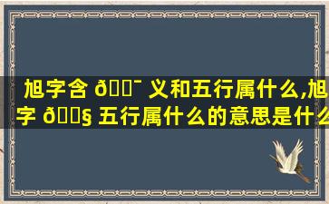 旭字含 🐯 义和五行属什么,旭字 🐧 五行属什么的意思是什么